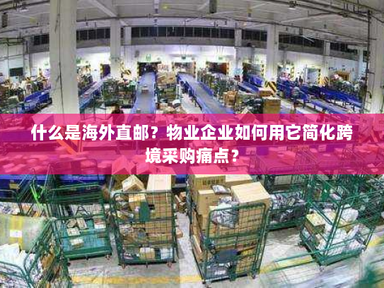 什么是海外直邮?物业企业如何用它简化跨境采购痛点? 什么是海外直邮?物业企业如何用它简化跨境采购痛点?