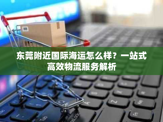 东莞附近国际海运怎么样？一站式高效物流服务解析