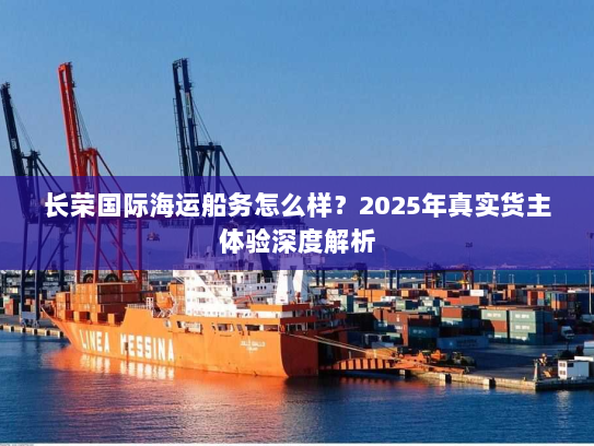 长荣国际海运船务怎么样？2025年真实货主体验深度解析