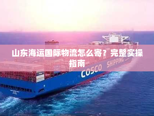 山东海运国际物流怎么寄？完整实操指南