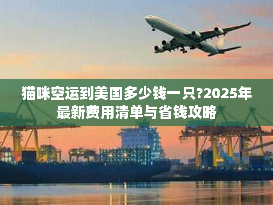 猫咪空运到美国多少钱一只?2025年最新费用清单与省钱攻略