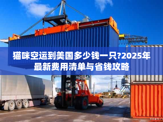 猫咪空运到美国多少钱一只?2025年最新费用清单与省钱攻略