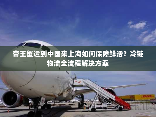 帝王蟹运到中国来上海如何保障鲜活?冷链物流全流程解决方案 帝王蟹运到中国来上海如何保障鲜活?冷链物流全流程解决方案