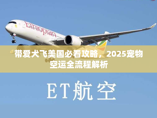 带爱犬飞美国必看攻略，2025宠物空运全流程解析