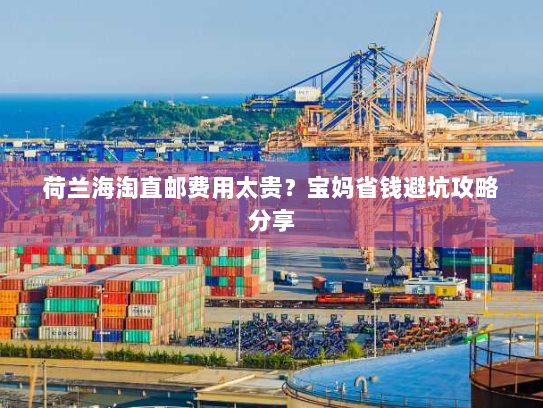 荷兰海淘直邮费用太贵?宝妈省钱避坑攻略分享 荷兰海淘直邮费用太贵?宝妈省钱避坑攻略分享