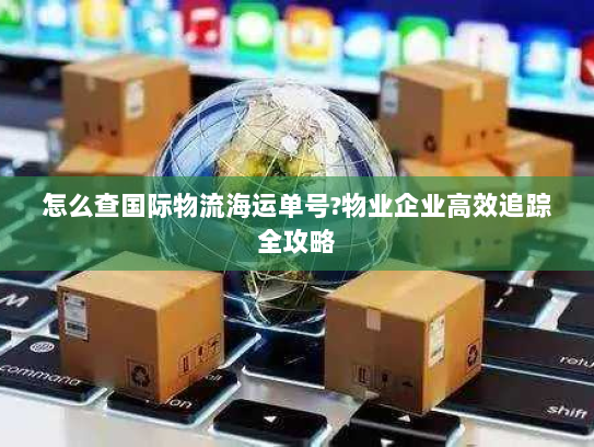 怎么查国际物流海运单号?物业企业高效追踪全攻略 怎么查国际物流海运单号?物业企业高效追踪全攻略
