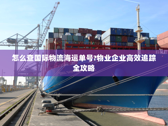 怎么查国际物流海运单号?物业企业高效追踪全攻略 怎么查国际物流海运单号?物业企业高效追踪全攻略