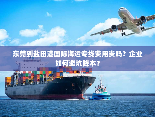 东莞到盐田港国际海运专线费用贵吗?企业如何避坑降本? 东莞到盐田港国际海运专线费用贵吗?企业如何避坑降本?