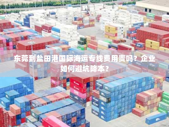 东莞到盐田港国际海运专线费用贵吗?企业如何避坑降本? 东莞到盐田港国际海运专线费用贵吗?企业如何避坑降本?