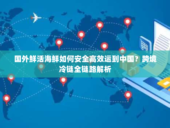 国外鲜活海鲜如何安全高效运到中国?跨境冷链全链路解析 国外鲜活海鲜如何安全高效运到中国?跨境冷链全链路解析