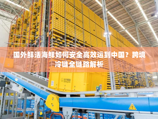 国外鲜活海鲜如何安全高效运到中国?跨境冷链全链路解析 国外鲜活海鲜如何安全高效运到中国?跨境冷链全链路解析