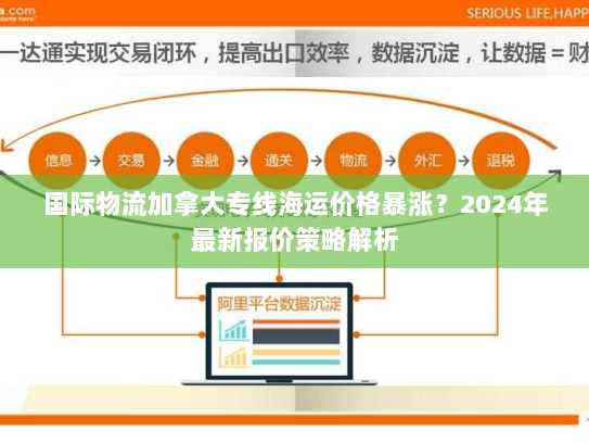 国际物流加拿大专线海运价格暴涨？2024年最新报价策略解析