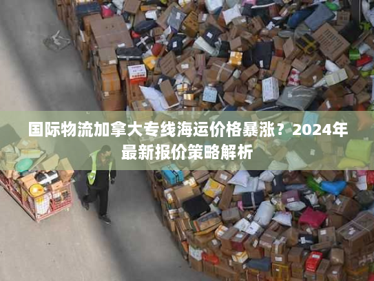 国际物流加拿大专线海运价格暴涨？2024年最新报价策略解析