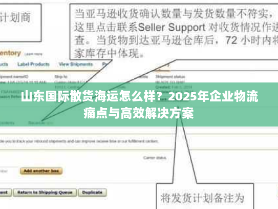 山东国际散货海运怎么样？2025年企业物流痛点与高效解决方案