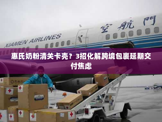 惠氏奶粉清关卡壳?3招化解跨境包裹延期交付焦虑 惠氏奶粉清关卡壳?3招化解跨境包裹延期交付焦虑