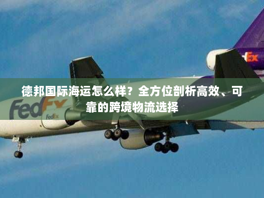 德邦国际海运怎么样？全方位剖析高效、可靠的跨境物流选择