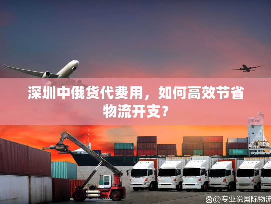 深圳中俄货代费用,如何高效节省物流开支? 深圳中俄货代费用,如何高效节省物流开支?