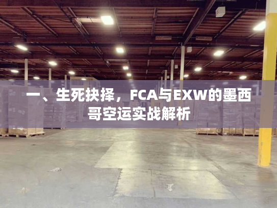 一、生死抉择，FCA与EXW的墨西哥空运实战解析