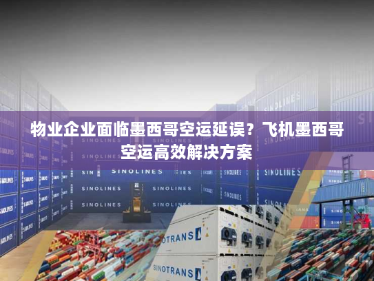 物业企业面临墨西哥空运延误？飞机墨西哥空运高效解决方案