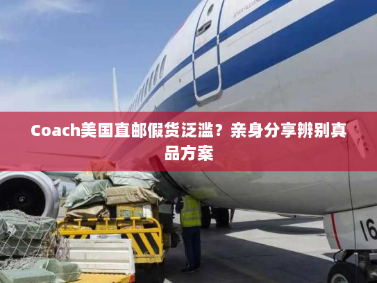 Coach美国直邮假货泛滥?亲身分享辨别真品方案 Coach美国直邮假货泛滥?亲身分享辨别真品方案