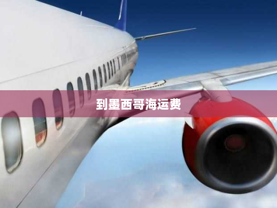 到墨西哥海运费