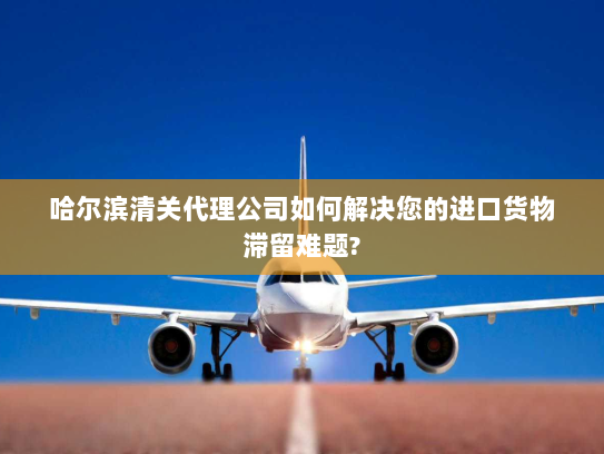 哈尔滨清关代理公司如何解决您的进口货物滞留难题? 哈尔滨清关代理公司如何解决您的进口货物滞留难题?