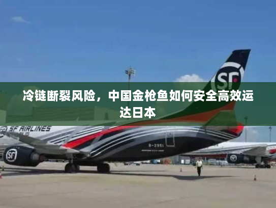 冷链断裂风险,中国金枪鱼如何安全高效运达日本 冷链断裂风险,中国金枪鱼如何安全高效运达日本