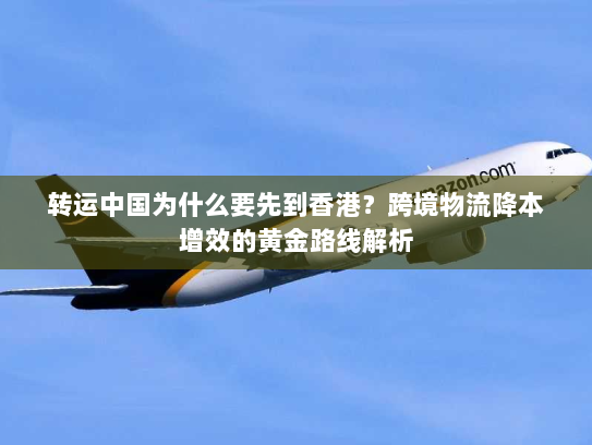 转运中国为什么要先到香港?跨境物流降本增效的黄金路线解析 转运中国为什么要先到香港?跨境物流降本增效的黄金路线解析