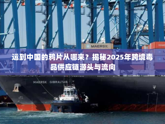 运到中国的鸦片从哪来?揭秘2025年跨境毒品供应链源头与流向 运到中国的鸦片从哪来?揭秘2025年跨境毒品供应链源头与流向
