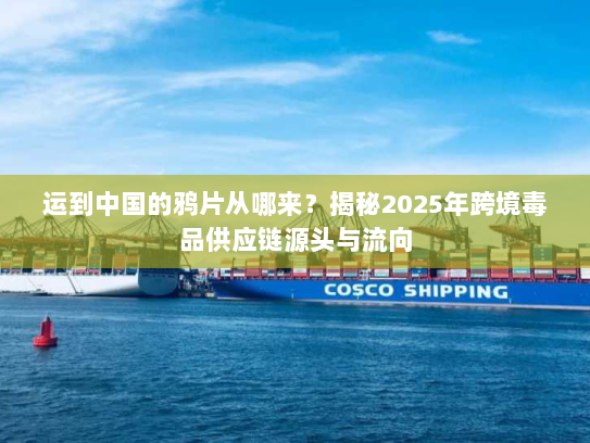 运到中国的鸦片从哪来?揭秘2025年跨境毒品供应链源头与流向 运到中国的鸦片从哪来?揭秘2025年跨境毒品供应链源头与流向