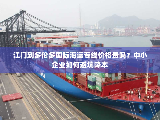 江门到多伦多国际海运专线价格贵吗?中小企业如何避坑降本 江门到多伦多国际海运专线价格贵吗?中小企业如何避坑降本