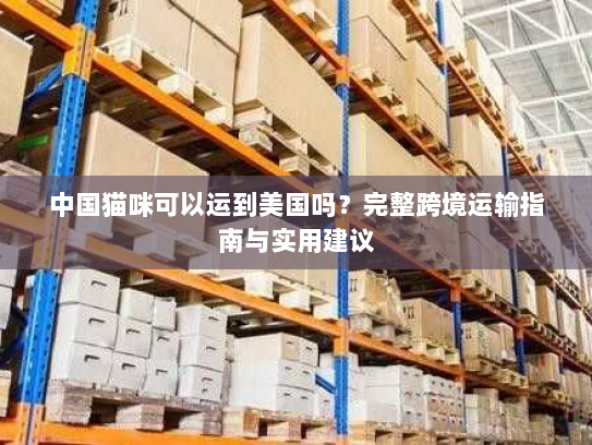 中国猫咪可以运到美国吗?完整跨境运输指南与实用建议 中国猫咪可以运到美国吗?完整跨境运输指南与实用建议