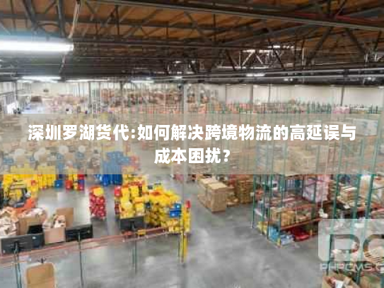 深圳罗湖货代:如何解决跨境物流的高延误与成本困扰？
