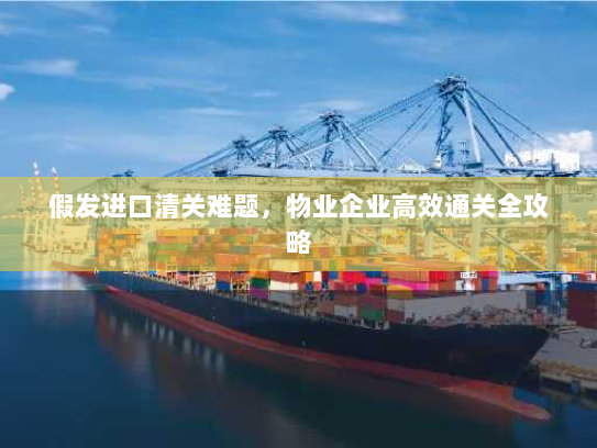 假发进口清关难题,物业企业高效通关全攻略 假发进口清关难题,物业企业高效通关全攻略