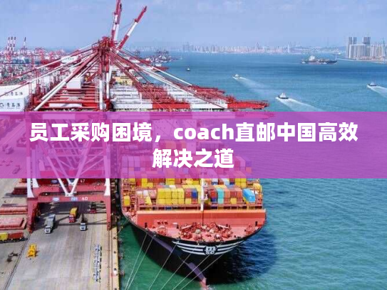 员工采购困境，coach直邮中国高效解决之道