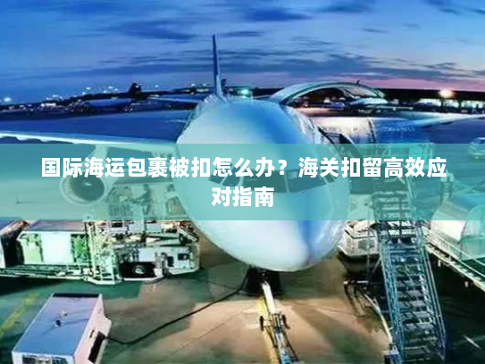 国际海运包裹被扣怎么办？海关扣留高效应对指南