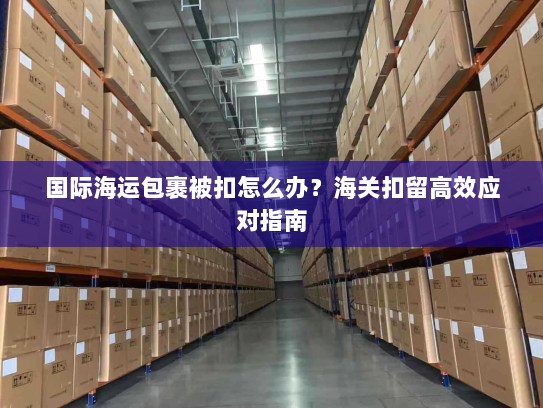 国际海运包裹被扣怎么办？海关扣留高效应对指南