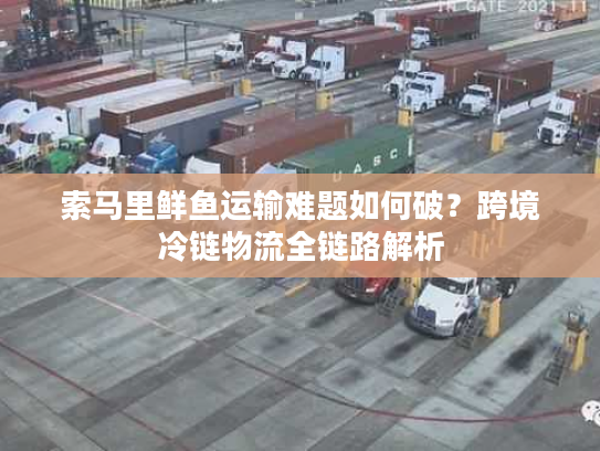 索马里鲜鱼运输难题如何破？跨境冷链物流全链路解析
