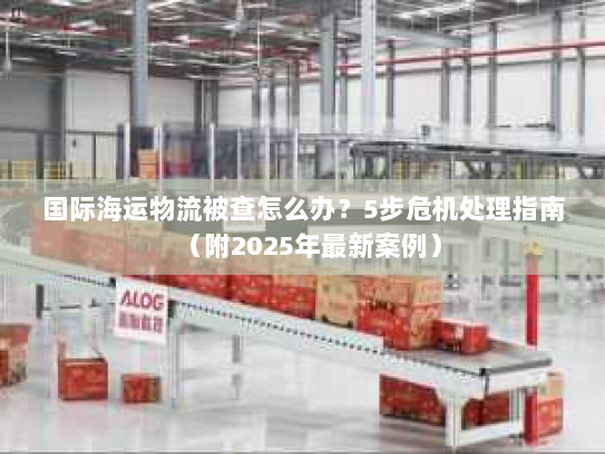 国际海运物流被查怎么办？5步危机处理指南（附2025年最新案例）