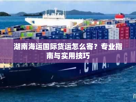 湖南海运国际货运怎么寄?专业指南与实用技巧 湖南海运国际货运怎么寄?专业指南与实用技巧