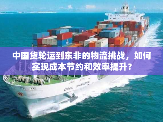 中国货轮运到东非的物流挑战，如何实现成本节约和效率提升？