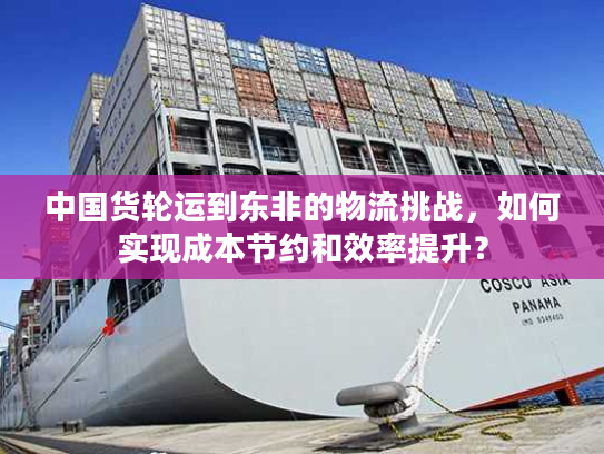 中国货轮运到东非的物流挑战，如何实现成本节约和效率提升？