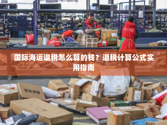 国际海运退税怎么算的钱?退税计算公式实用指南 国际海运退税怎么算的钱?退税计算公式实用指南