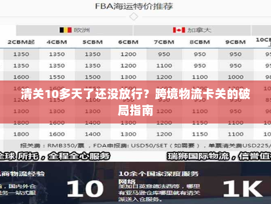 清关10多天了还没放行?跨境物流卡关的破局指南 清关10多天了还没放行?跨境物流卡关的破局指南