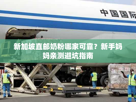 新加坡直邮奶粉哪家可靠？新手妈妈亲测避坑指南