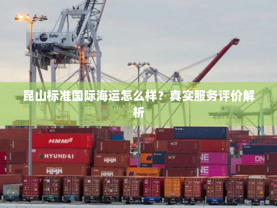 昆山标准国际海运怎么样?真实服务评价解析 昆山标准国际海运怎么样?真实服务评价解析