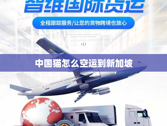 中国猫怎么空运到新加坡 中国猫怎么空运到新加坡
