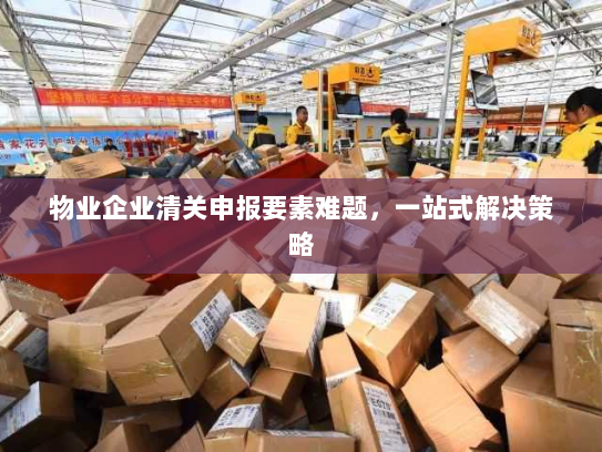 物业企业清关申报要素难题,一站式解决策略 物业企业清关申报要素难题,一站式解决策略