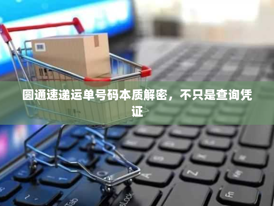 圆通速递运单号码本质解密,不只是查询凭证 圆通速递运单号码本质解密,不只是查询凭证
