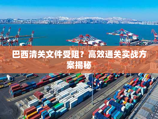 巴西清关文件受阻?高效通关实战方案揭秘 巴西清关文件受阻?高效通关实战方案揭秘